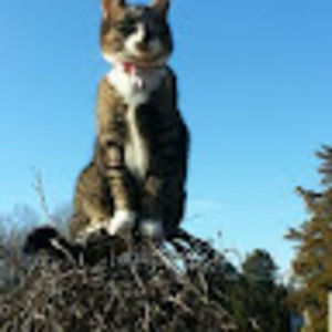 Meet your Posher, Lynn